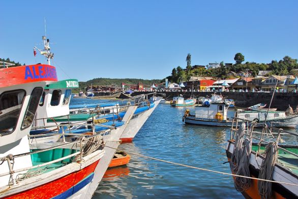 Gastronomía del mar a tu mesa